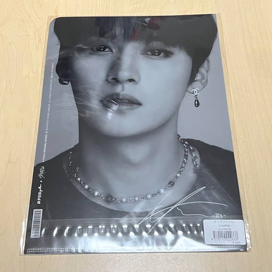 Dfesta リノ StrayKids チケット ポストカード クリアファイル Single Item] Lino (Stray Kids) photo card ticket 
